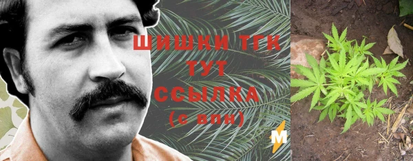 крисы Беломорск
