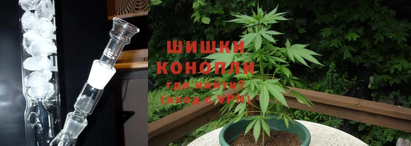 спиды Богородск