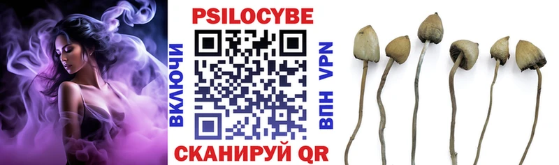 цены   Кувшиново  Галлюциногенные грибы Magic Shrooms 